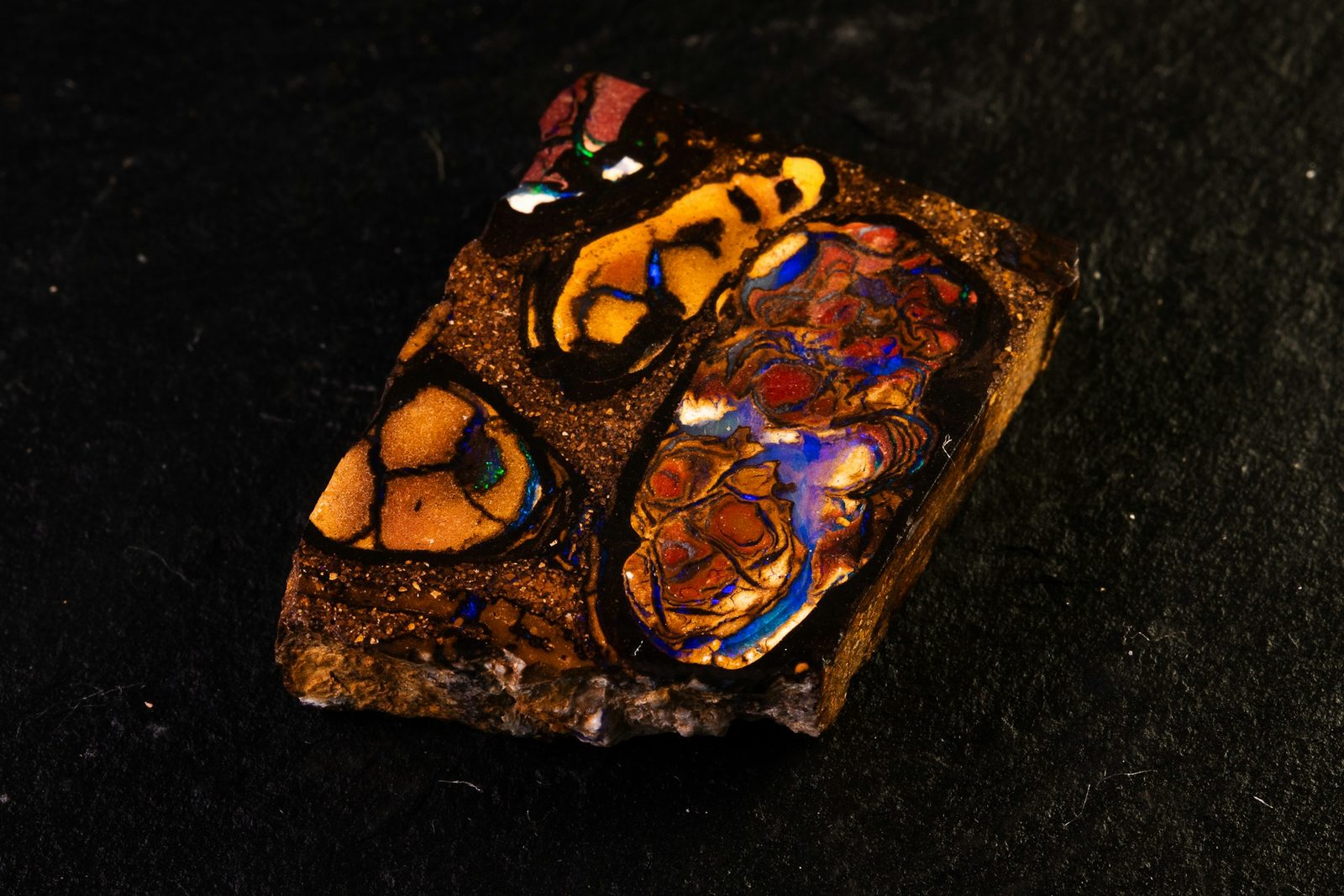 Rough boulder opal showing orange and blue fire inside brown ironstone