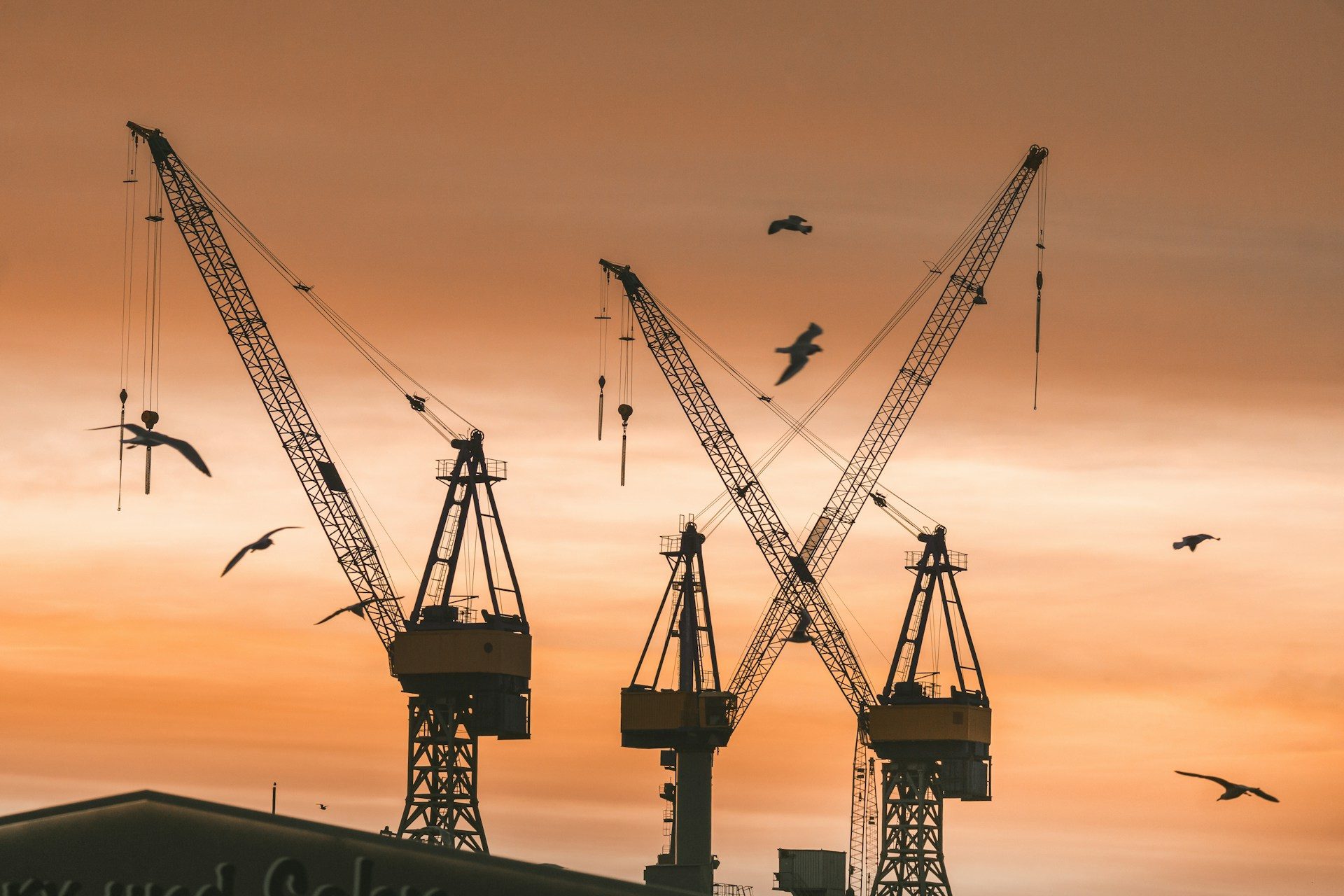 Construction cranes silhouetted against a clear golden sunrise sky