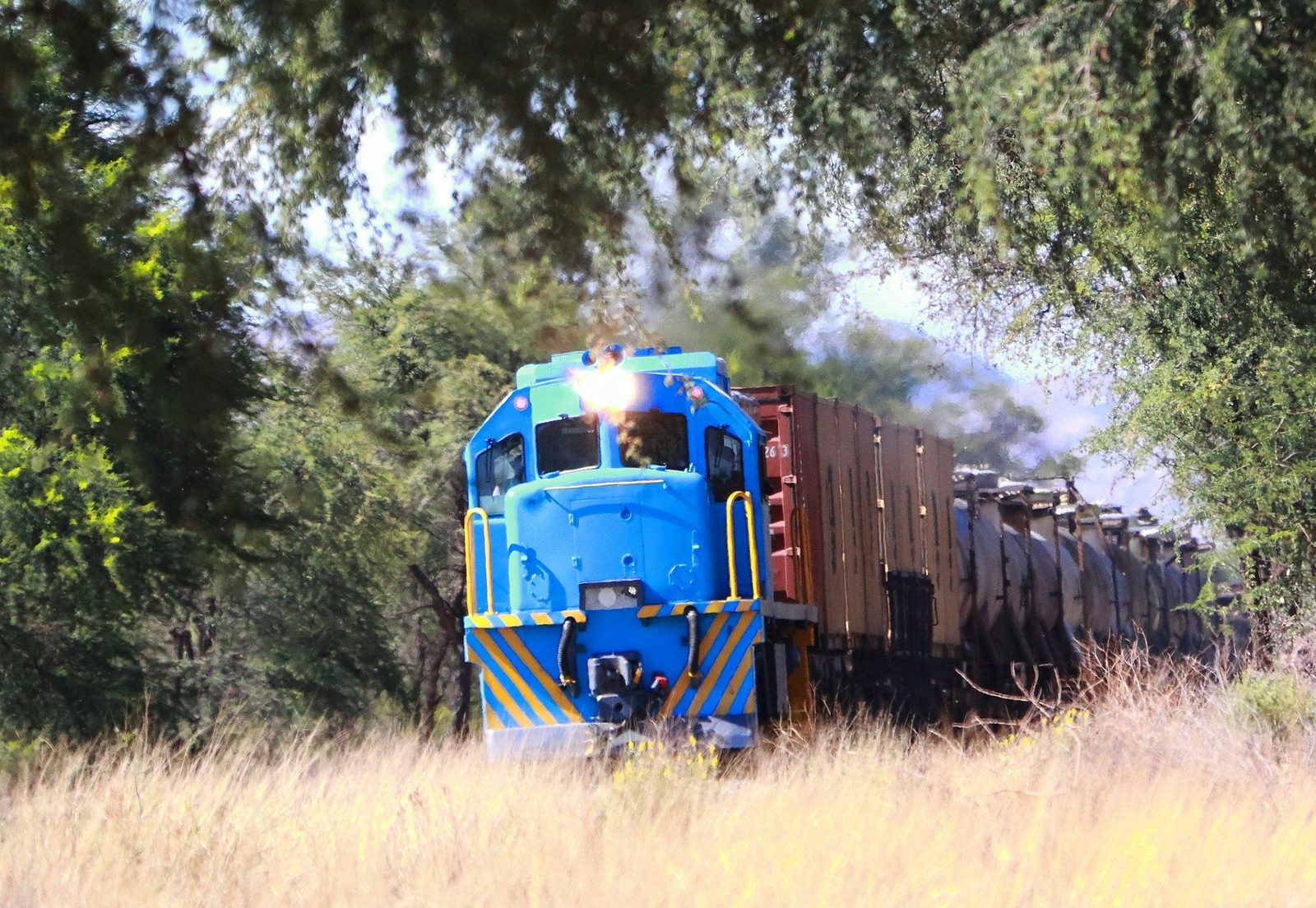 Blue freight train hauling cargo through golden African savanna